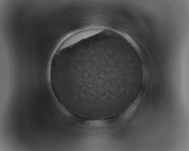 X0000096711246200802191502