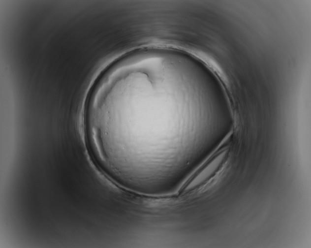 X0000096711247200802191502