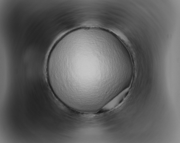 X0000096711248200802191502