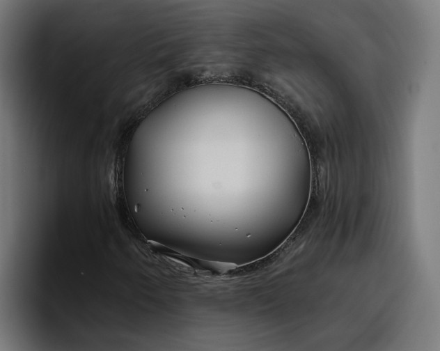 X0000096711250200802191501