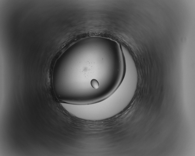 X0000096711252200802191501