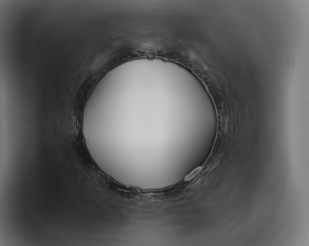 X0000096711253200802191501