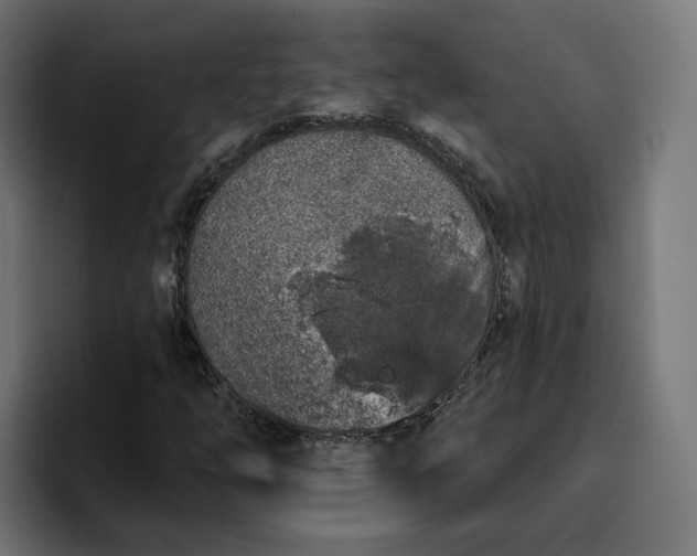 X0000096711254200802191501