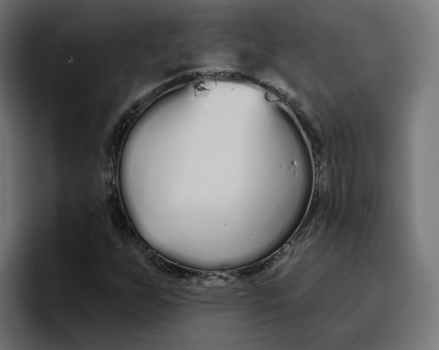 X0000096711255200802191501