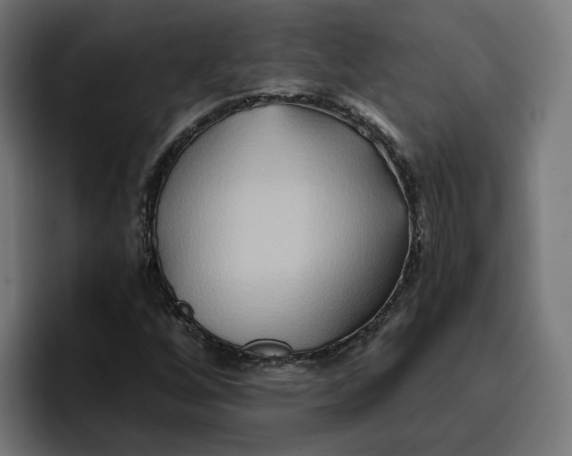 X0000096711256200802191501