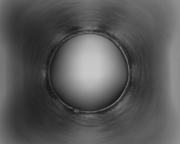 X0000096711257200802191501