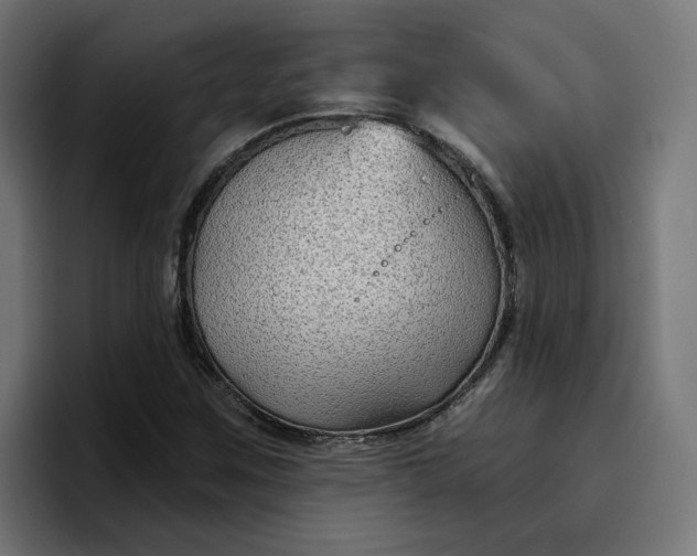 X0000096711259200802191501