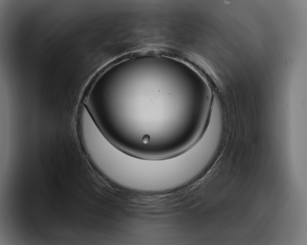 X0000096711260200802191501