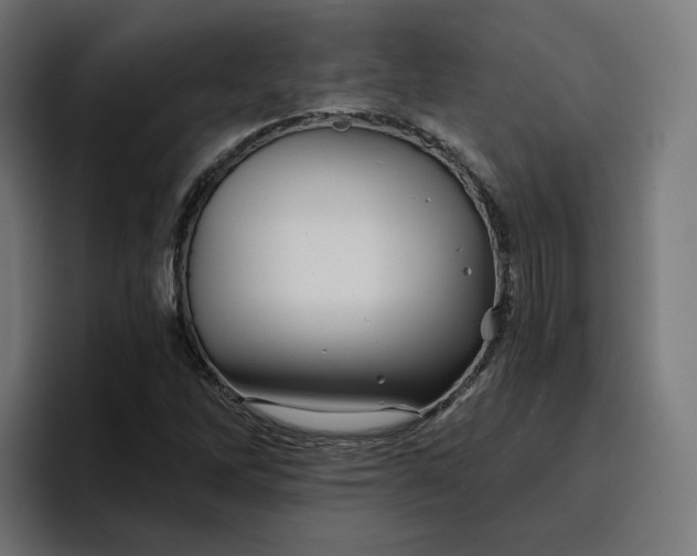 X0000096711262200802191501