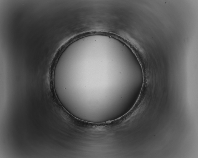 X0000096711264200802191501