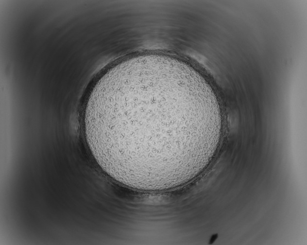 X0000096711266200802191501