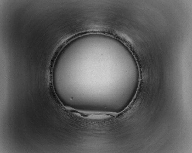 X0000096711267200802191501