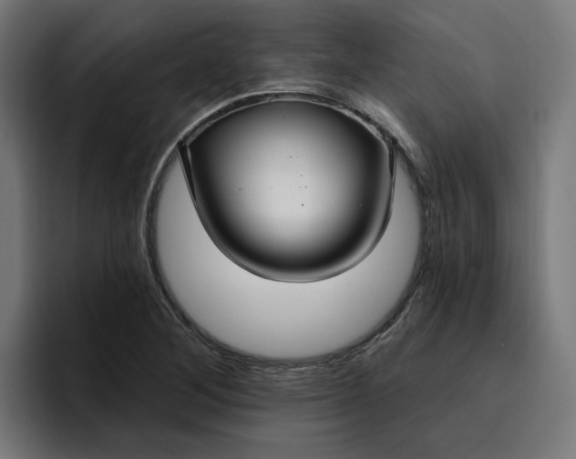 X0000096711268200802191501