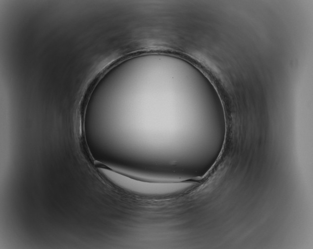 X0000096711269200802191501