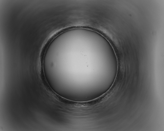 X0000096711270200802191501