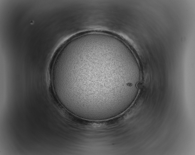 X0000096711271200802191501