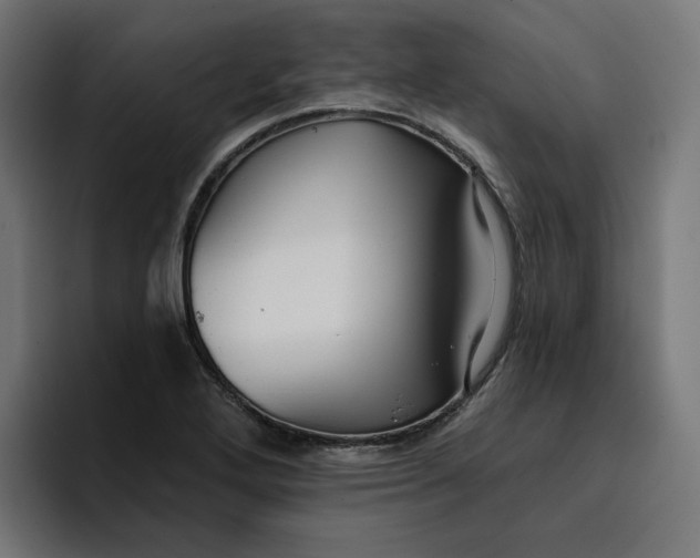 X0000096711272200802191501