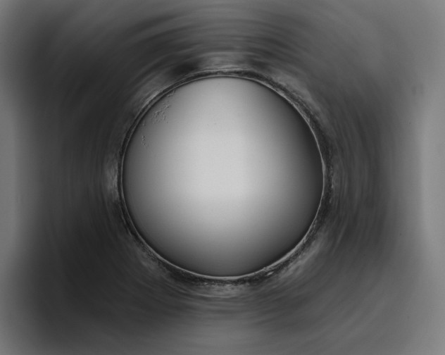 X0000096711273200802191501