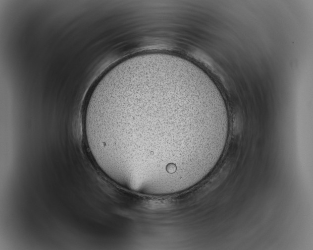 X0000096711274200802191501