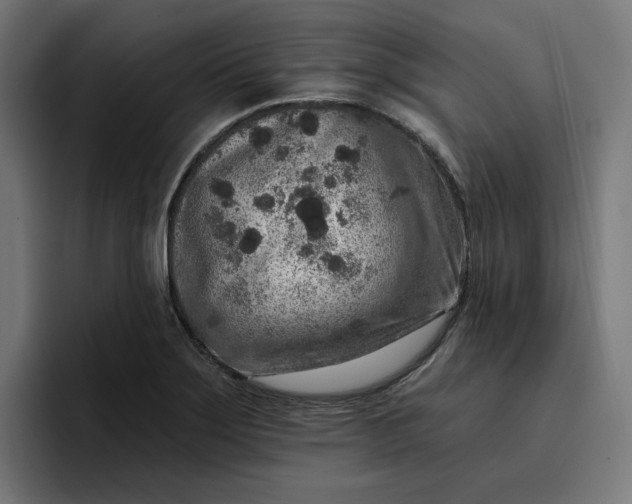 X0000096711275200802191501