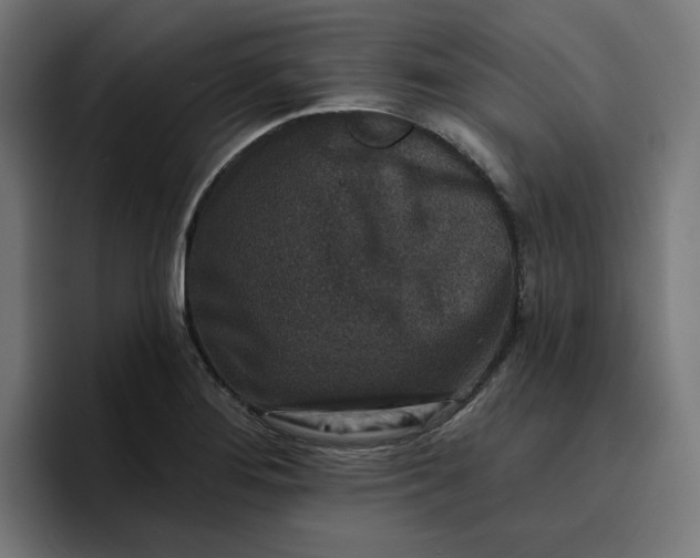 X0000096711276200802191501