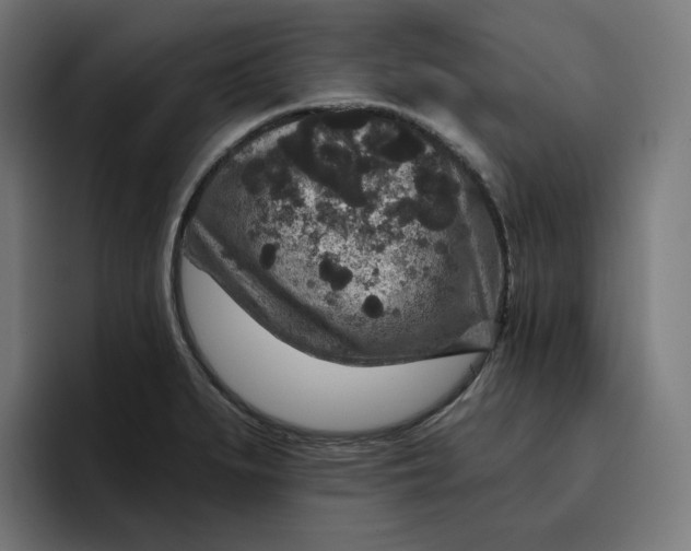 X0000096711279200802191501