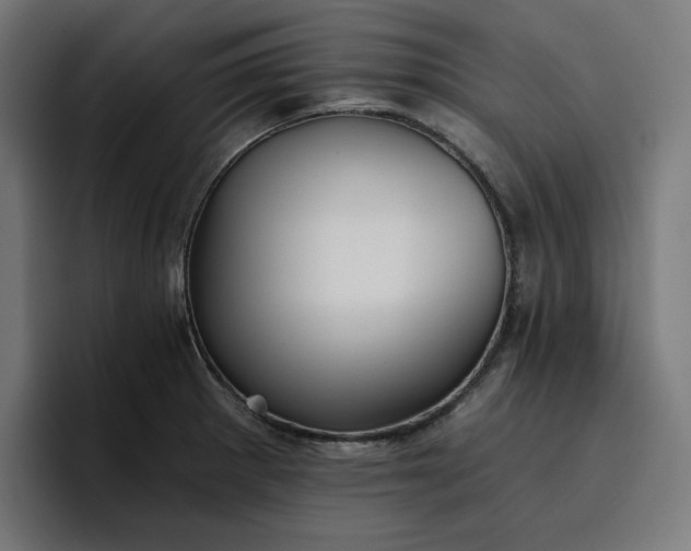 X0000096711281200802191501