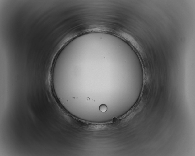 X0000096711282200802191501