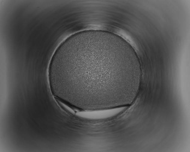 X0000096711283200802191501