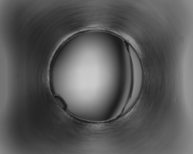 X0000096711288200802191501