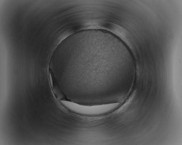 X0000096711289200802191501