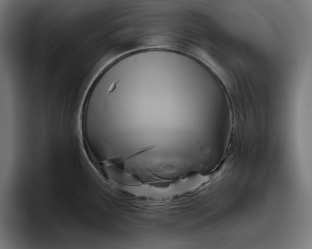 X0000096711291200802191501