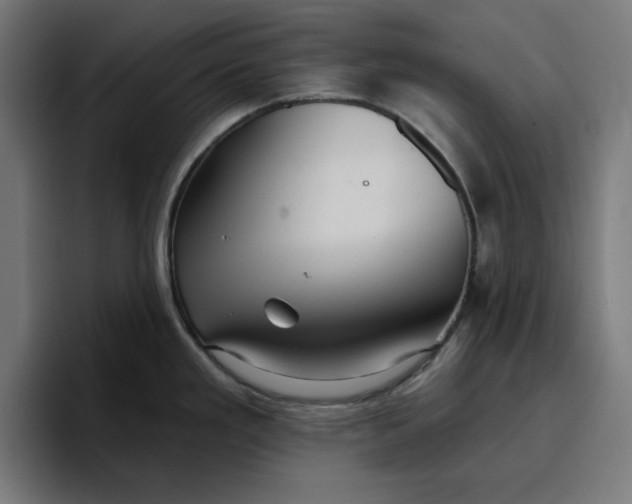 X0000096711293200802191501