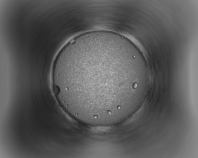 X0000096711294200802191501