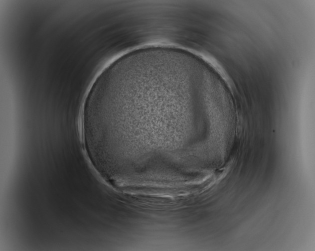 X0000096711295200802191501