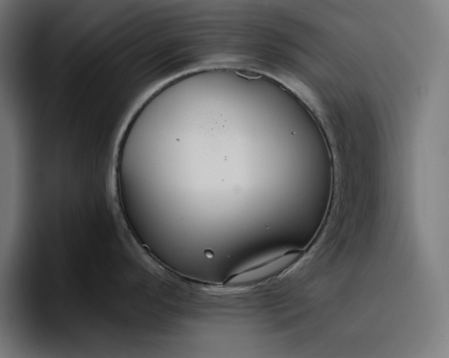 X0000096711296200802191501