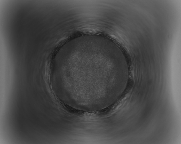 X0000096711297200802191500