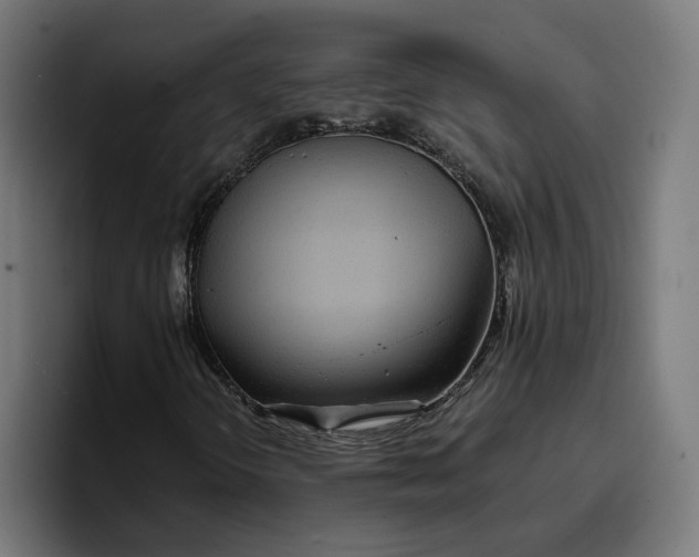 X0000096711298200802191500