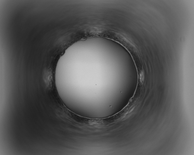 X0000096711299200802191500