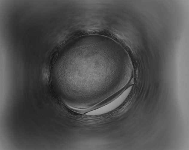 X0000096711300200802191500