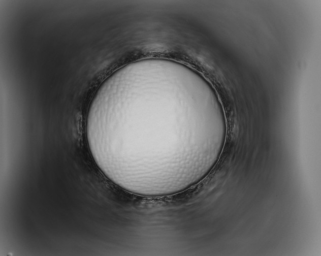 X0000096711301200802191500