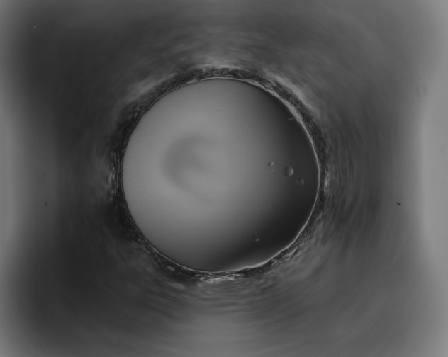 X0000096711303200802191500