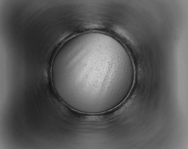 X0000096711305200802191500