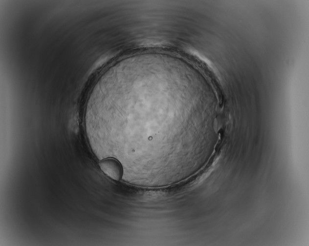 X0000096711306200802191500