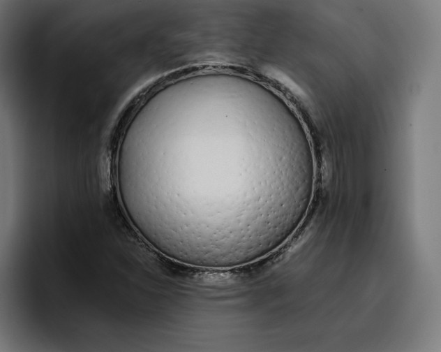 X0000096711310200802191500