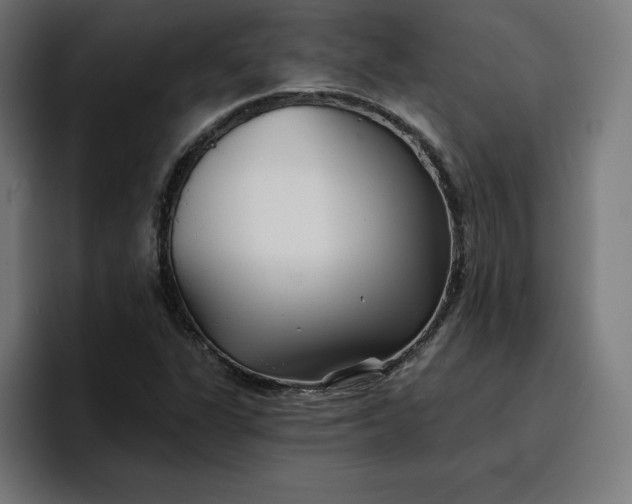 X0000096711311200802191500