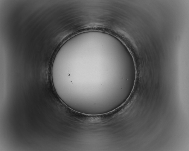 X0000096711313200802191500