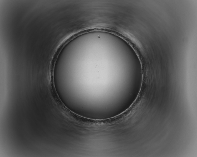 X0000096711316200802191500