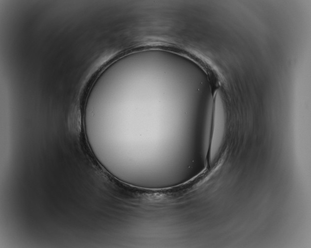 X0000096711317200802191500