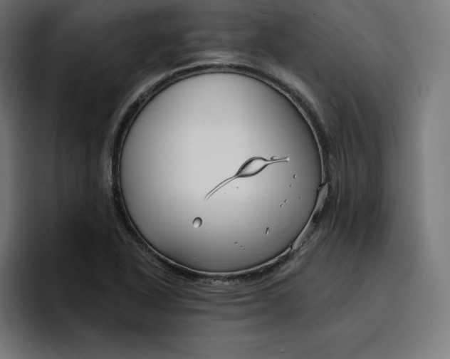 X0000096711318200802191500